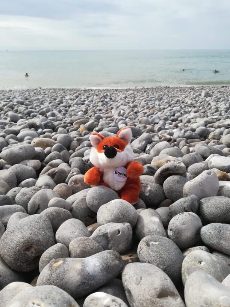 James Boond se détend sur la plage de Fécamp 