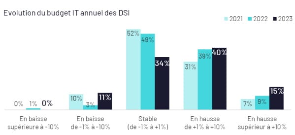 IT service budget