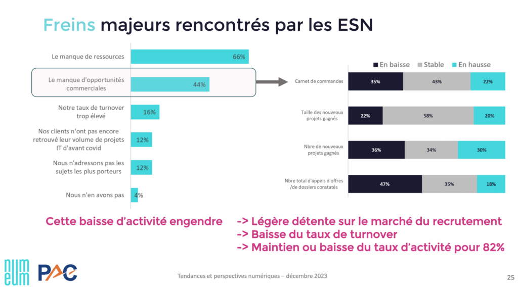 marché des ESN 2023